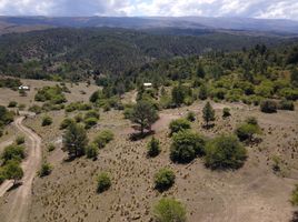  Terreno (Parcela) en venta en Punilla, Cordobá, Punilla