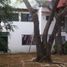 200 SqM Office for rent in San Andres Cholula, Puebla, San Andres Cholula