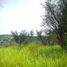  Land for sale in Chile, Limache, Quillota, Valparaiso, Chile