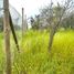  Land for sale in Chile, Limache, Quillota, Valparaiso, Chile