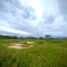  Land for sale in Chile, Limache, Quillota, Valparaiso, Chile