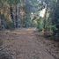  Terreno (Parcela) en venta en Biobío, Nacimiento, Biobío, Biobío