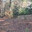  Terreno (Parcela) en venta en Biobío, Nacimiento, Biobío, Biobío