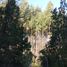  Terreno (Parcela) en venta en Biobío, Nacimiento, Biobío, Biobío
