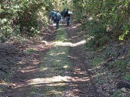  Terreno (Parcela) en venta en Biobío, Nacimiento, Biobío, Biobío