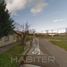  Terreno (Parcela) en venta en Araucanía, Victoria, Malleco, Araucanía