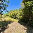  Terreno (Parcela) en venta en Chile, Villarrica, Cautín, Araucanía, Chile