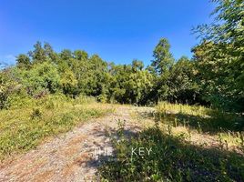  Terreno (Parcela) en venta en Chile, Villarrica, Cautín, Araucanía, Chile