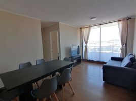 3 Schlafzimmer Wohnung zu vermieten in Biobío, Concepcion, Concepción, Biobío