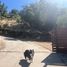 3 Bedroom House for sale in Maule, Curico, Curico, Maule