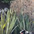 3 Bedroom House for sale in Maule, Curico, Curico, Maule
