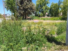  Terreno (Parcela) en venta en Rio Negro, General Roca, Rio Negro