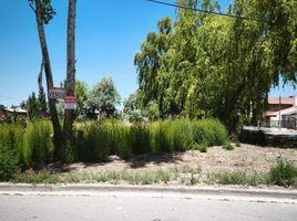  Terreno (Parcela) en venta en Rio Negro, General Roca, Rio Negro