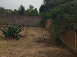  Grundstück zu verkaufen in Cocotitlan, Mexico, Cocotitlan