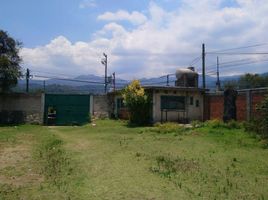  Grundstück zu verkaufen in Cocotitlan, Mexico, Cocotitlan