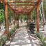 2 Schlafzimmer Haus zu verkaufen in Cozumel, Quintana Roo, Cozumel