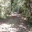  Terreno (Parcela) en venta en Felipe Carrillo Puerto, Quintana Roo, Felipe Carrillo Puerto