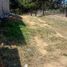 Land for sale in Temamatla, Mexico, Temamatla