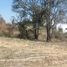  Land for sale in Temamatla, Mexico, Temamatla