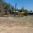  Land for sale in Temamatla, Mexico, Temamatla