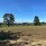  Terreno (Parcela) en venta en Totolapan, Morelos, Totolapan