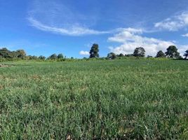  Terreno (Parcela) en venta en Totolapan, Morelos, Totolapan