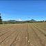  Terreno (Parcela) en venta en Totolapan, Morelos, Totolapan