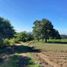  Terreno (Parcela) en venta en Totolapan, Morelos, Totolapan