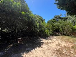  Land for sale in Pinamar, Buenos Aires, Pinamar