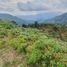  Land for sale in Sabaneta, Antioquia, Sabaneta