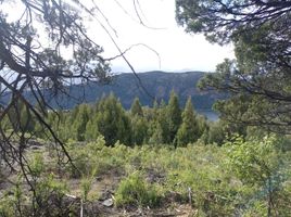  Land for sale in Cushamen Chubut, Cushamen