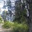  Land for sale in Cushamen Chubut, Cushamen