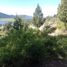 Land for sale in Cushamen Chubut, Cushamen