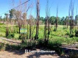  Land for sale in General Roca, Rio Negro, General Roca