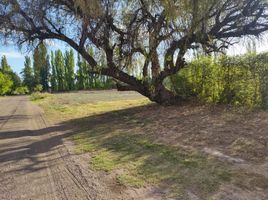  Grundstück zu verkaufen in San Rafael, Mendoza, San Rafael