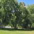  Terreno (Parcela) en venta en San Rafael, Mendoza, San Rafael