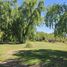  Terreno (Parcela) en venta en San Rafael, Mendoza, San Rafael