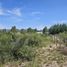  Terreno (Parcela) en venta en San Rafael, Mendoza, San Rafael