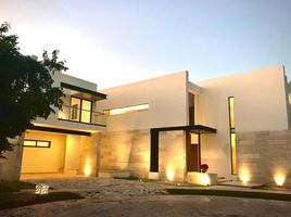 4 Schlafzimmer Wohnung zu verkaufen in Conkal, Yucatan, Conkal, Yucatan