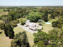  Land for sale in Gualeguay, Entre Rios, Gualeguay