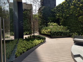 0 m2 Office for rent in Mexico City, Miguel Hidalgo, Mexico City