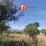  Land for sale in San Javier, Cordoba, San Javier