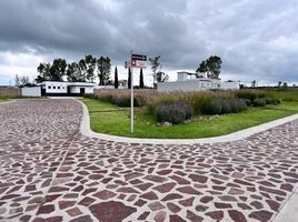  Grundstück zu verkaufen in Allende, Guanajuato, Allende