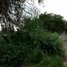 Terrain à vendre à Tlajomulco De Zuniga, Jalisco, Tlajomulco De Zuniga