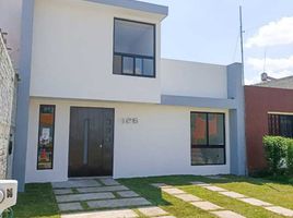 3 Schlafzimmer Haus zu verkaufen in Morelia, Michoacan, Morelia