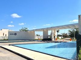  Grundstück zu verkaufen in Conkal, Yucatan, Conkal