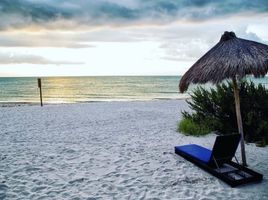  Grundstück zu verkaufen in Celestun, Yucatan, Celestun