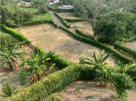  Terrain for sale in Neira, Caldas, Neira