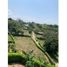  Land for sale in Caldas, Neira, Caldas