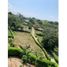  Terrain for sale in Neira, Caldas, Neira